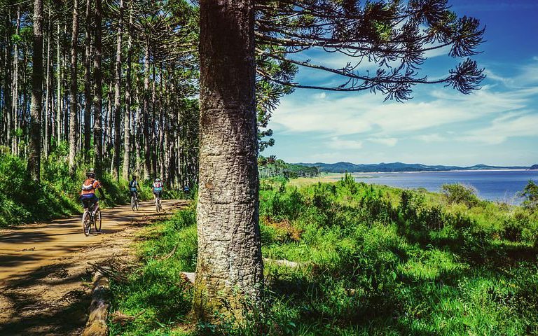 Wczasy nad Bałtykiem dla każdego – zadbaj o nocleg