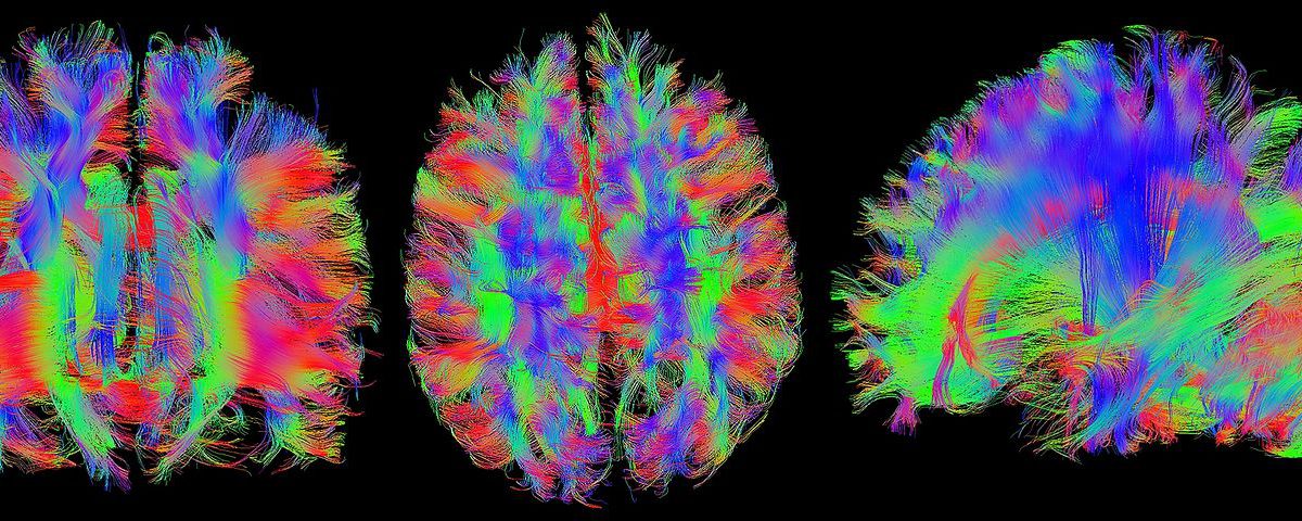 Jak zadbać o zdrowie?